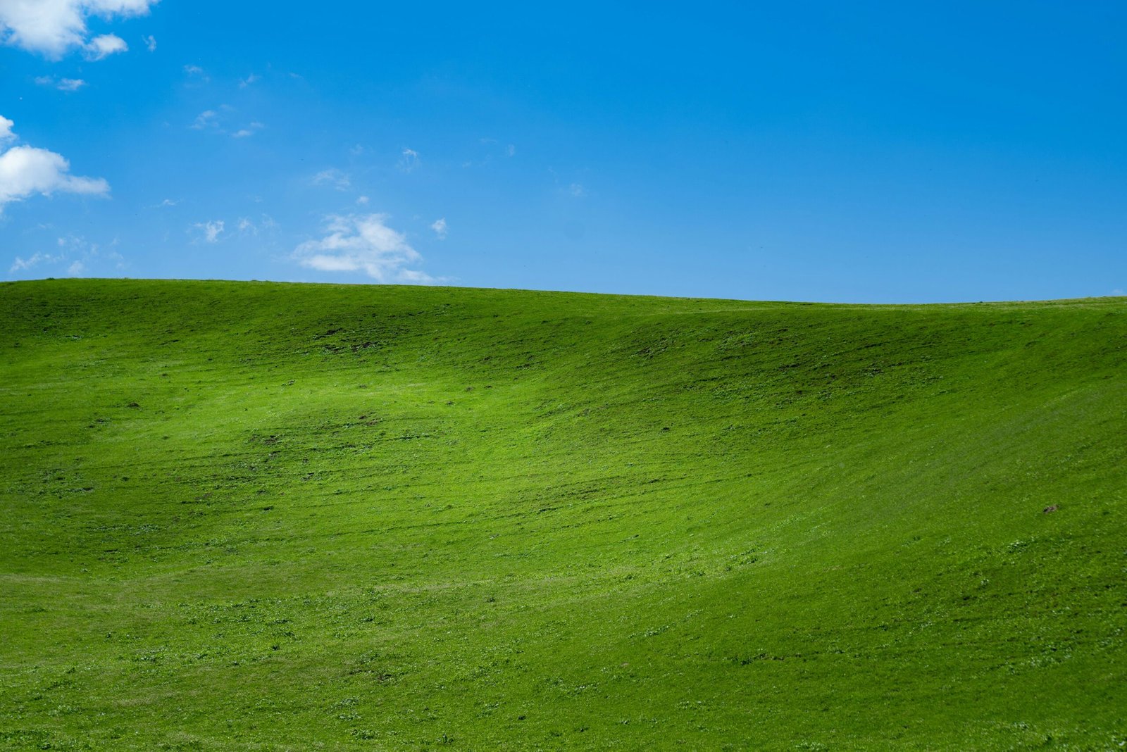 green grass field under blue sky during daytime